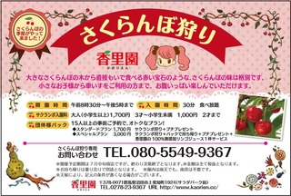 ハガキ_さくらんぼ狩り-3.jpg