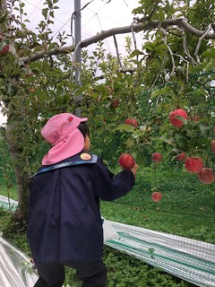 image116.jpeg