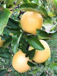 image126.jpeg