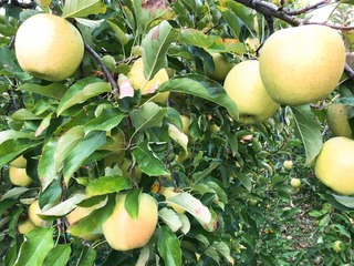 image127.jpeg