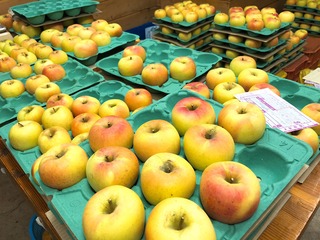 image136.jpeg