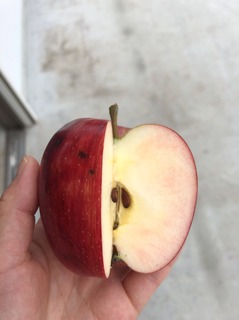 image21.jpeg